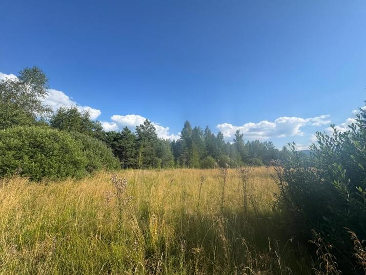 12700 mp investitie rezidentiala- turistica- medicala Tinovul Mic/Șaru Dornei - 7