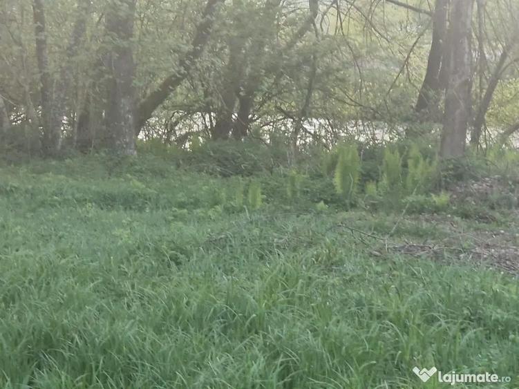 Teren de vanzare 26403mp - 9