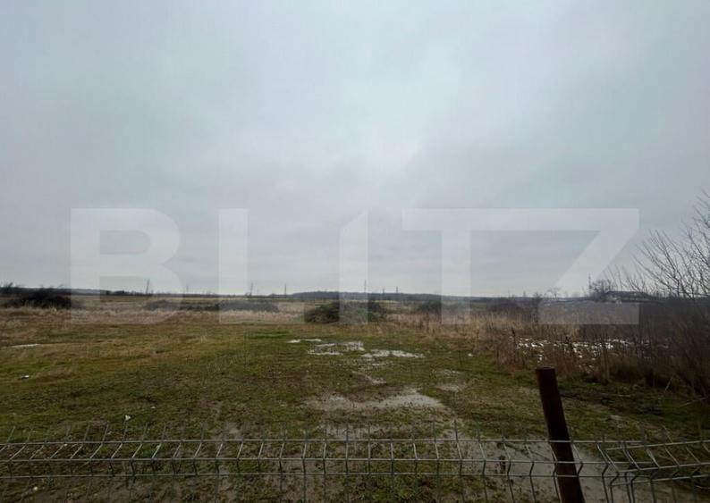 TEREN | PRISEACA | 1716 MP | INTRAVILAN | 20 MP FRONT STRADA - 2