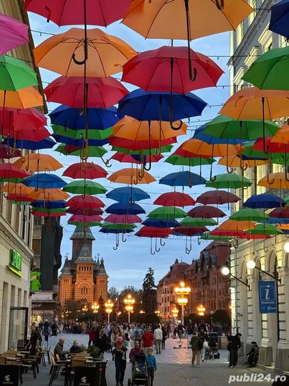 Apartament centrul Timisoarei - 6