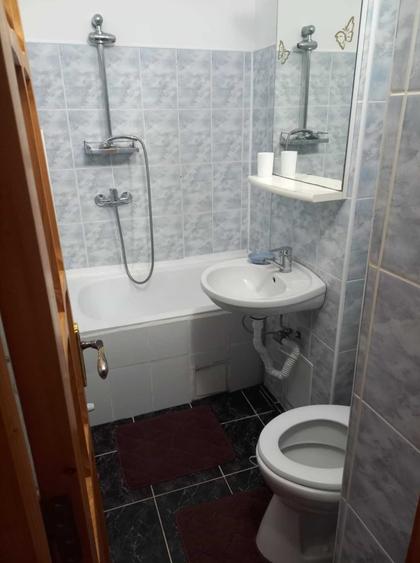 Zimbru 2 camere semi 162022 - 6