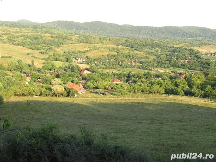 Teren Barsau - Harau - 1