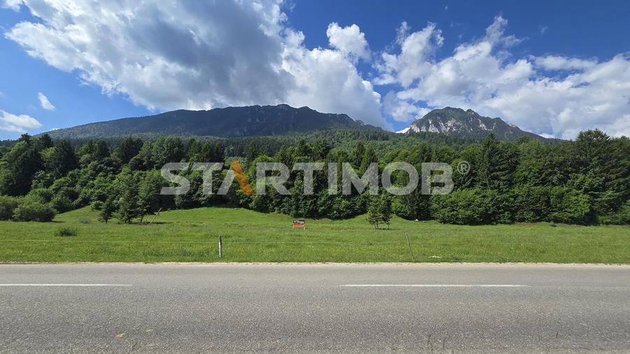 Teren intravilan Zarnesti Plaiul Foii - 21