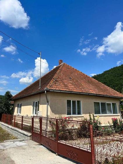 Casa la tara in satul Zdrapti Hunedoara pe malul Crisului - 1