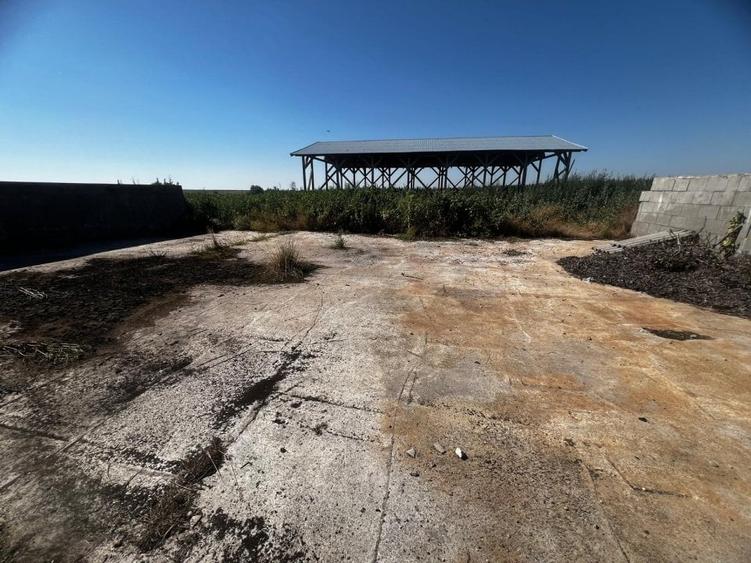 Spatiu pentru dispensar medical-veterinar si locuinta de serviciu cu teren mare - 3