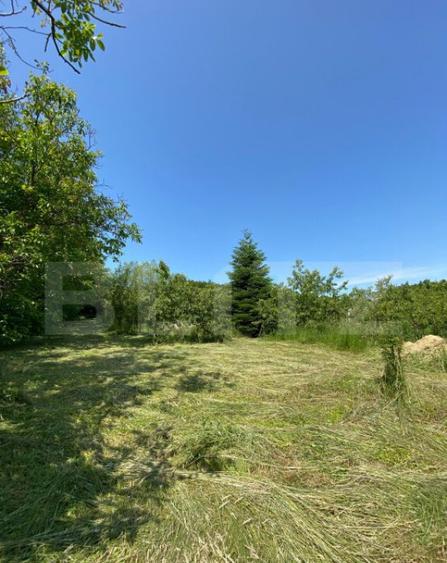 Teren intravilan de vanzare 30 ari Zona Podul Jelne - 4