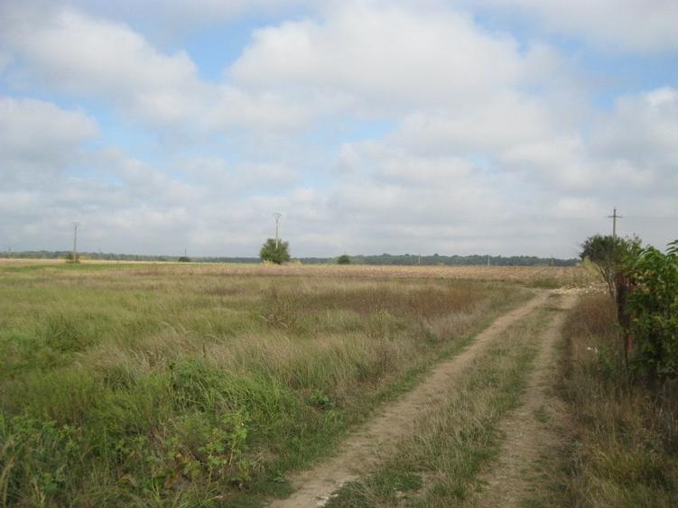 Proprietar,VandTeren10100mpDes43Utilitati150m*INVESTITIE PROIECT CASE*INTRAVILAN - 12