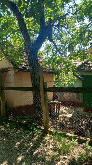 Vand casa in sat Feldioara jud.Cluj - 7