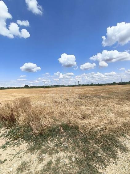 TEREN COCOSESESTI//INTRAVILAN - 2