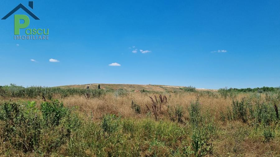 Teren Drum la Chiajna, sector 6, 11.350 mp, D 33 ml - 5