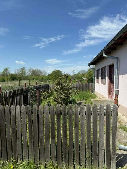 Vand casa la curte - 3