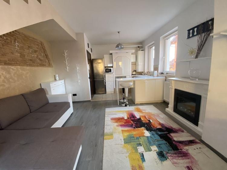 Cochet la intrare in Dumbravita - 22