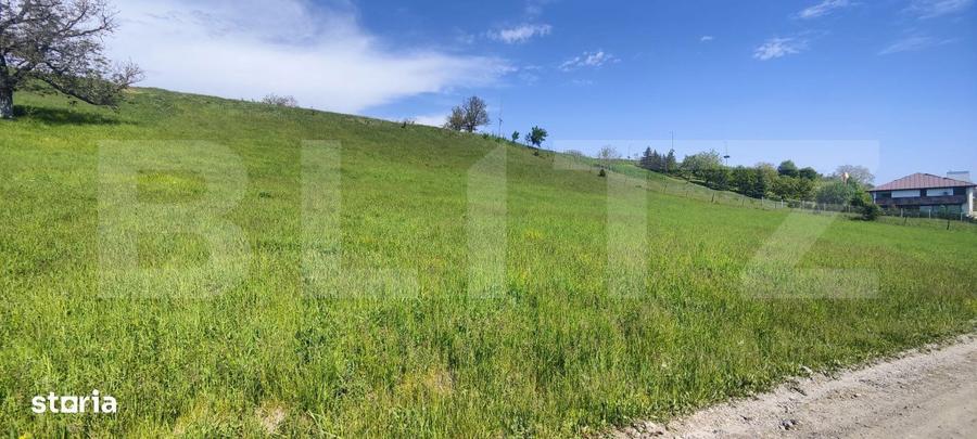 Teren Panoramic 15.500 mp Investitie sau Dezvoltare, Zona Aleea Ma - 2