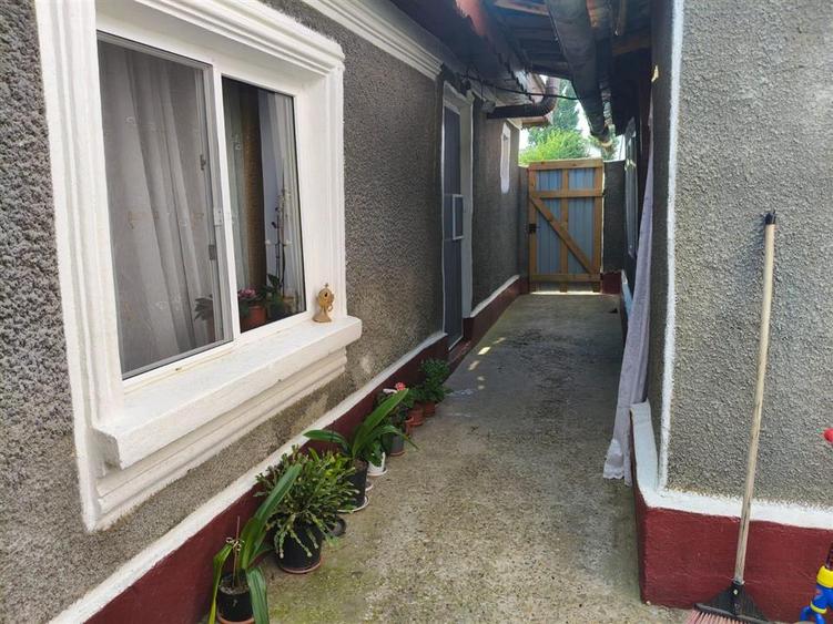 Casa 4 camere, Radu Negru, Teren - 264 mp - 10