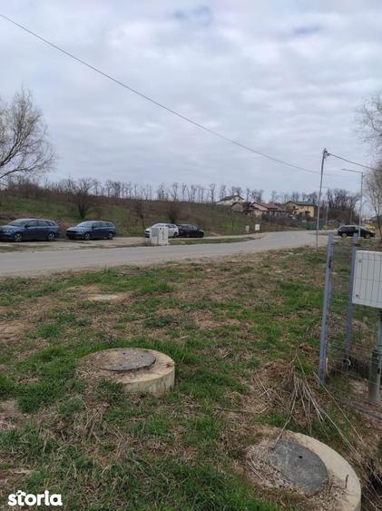 Teren intravilan Branesti - 5