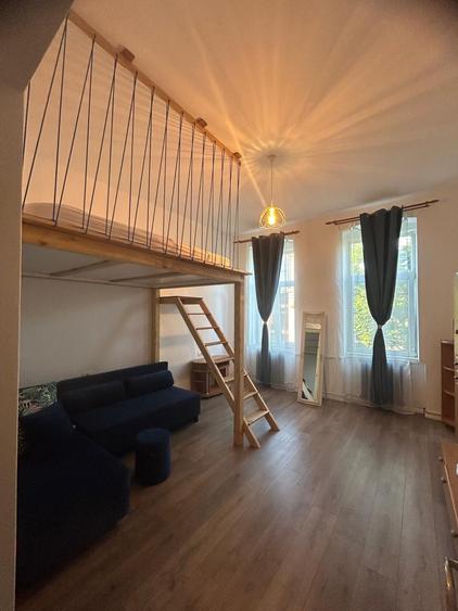 Apartament cu 1 Cameră de Vânzare în Timișoara – Balcescu - 3