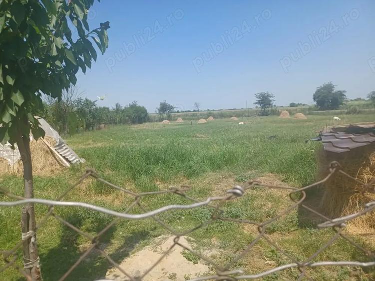 Casa de vanzare-Ivanda - 4