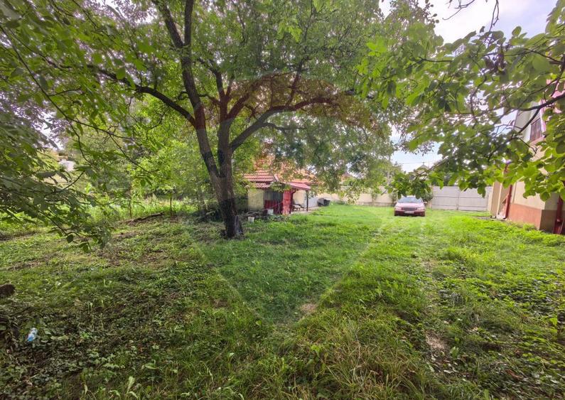 Casa traditionala De Vanzare cu 5 Hectare de teren - 24