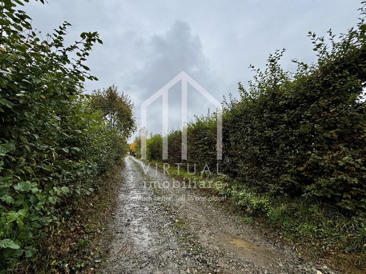 Teren intravila, 2158mp, destinatie casa de vacanta, Rasinari - 10