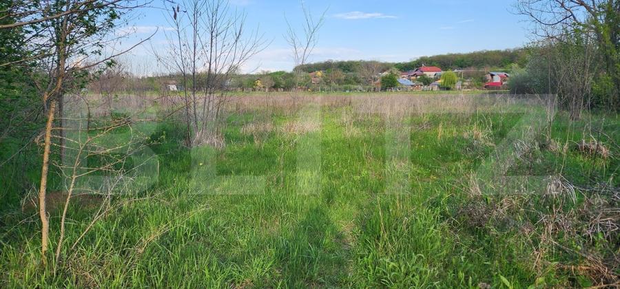 Teren 6650 mp, cu casa nefinalizata de 111 mp, in Nisipoasa. - 7