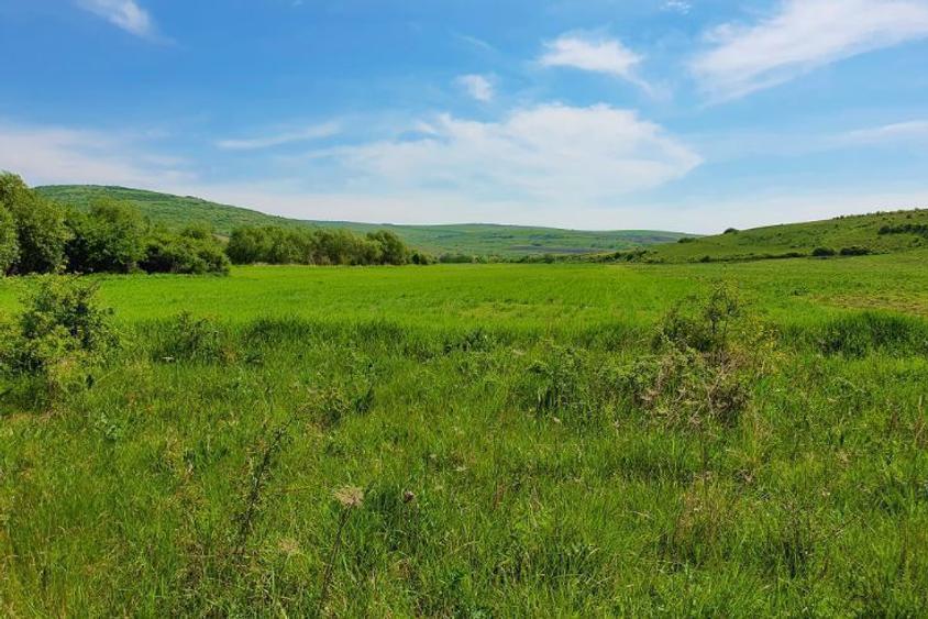 Teren extravilan ideal în comuna Borșa - Cluj - 3