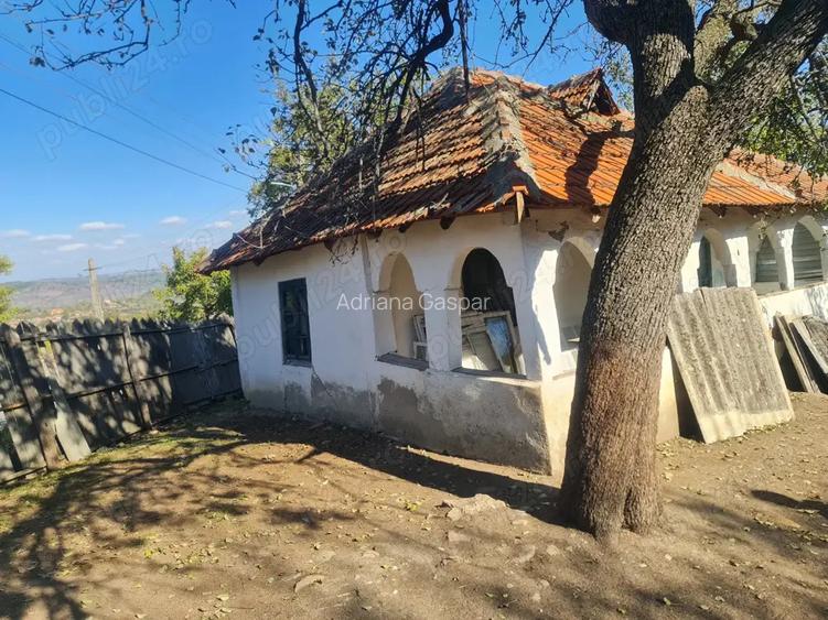 Casa si pamant agricol de vanzare Casa si pamant agricol de vanzare
