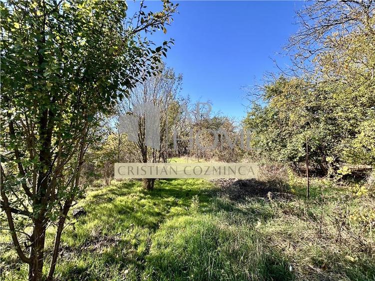 Casa 4 camere, 141 MP + Anexa 39 MP, pe DN1 - 27