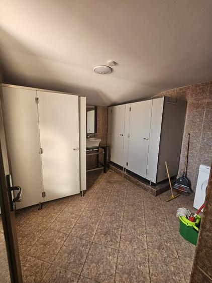 Proprietate speciala Dumbravita - casa individuala !! - 14