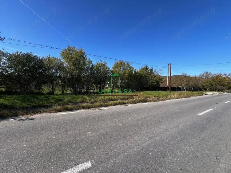 Teren intravilan/Str Balciului/Copacelu - 1