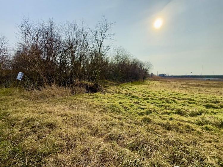 Teren industrial cu acces facil la Autostrada A3 - Calea Borsului - 4