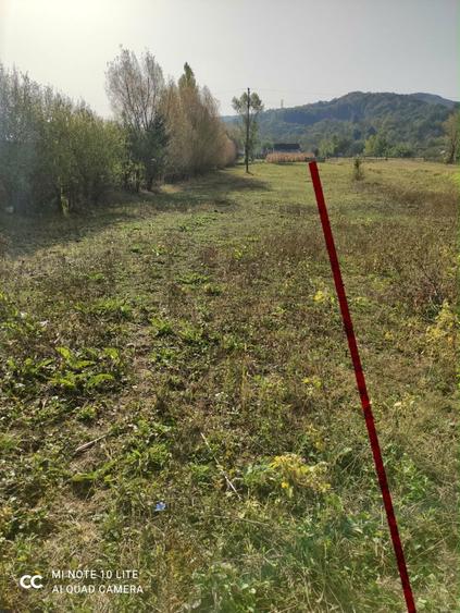 Teren intravilan de vanzare! - 2