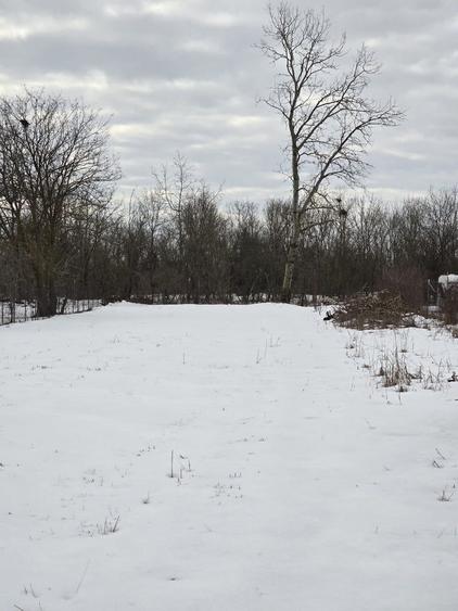 Teren de vanzare in Cornetu - 2