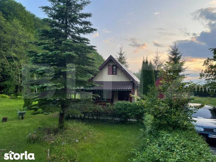 Casa de vacanta / cabana Campu Cetatii 2460 mp teren - 6