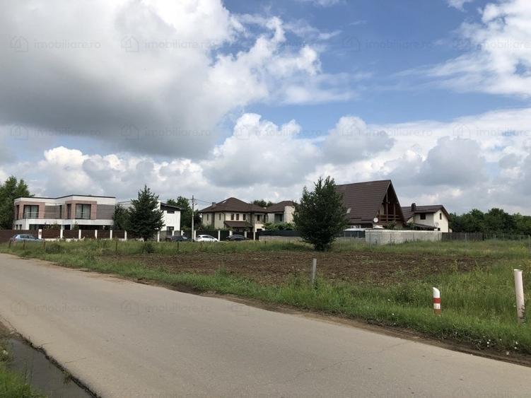 Teren Mogosoaia str Vanatorilor - 1