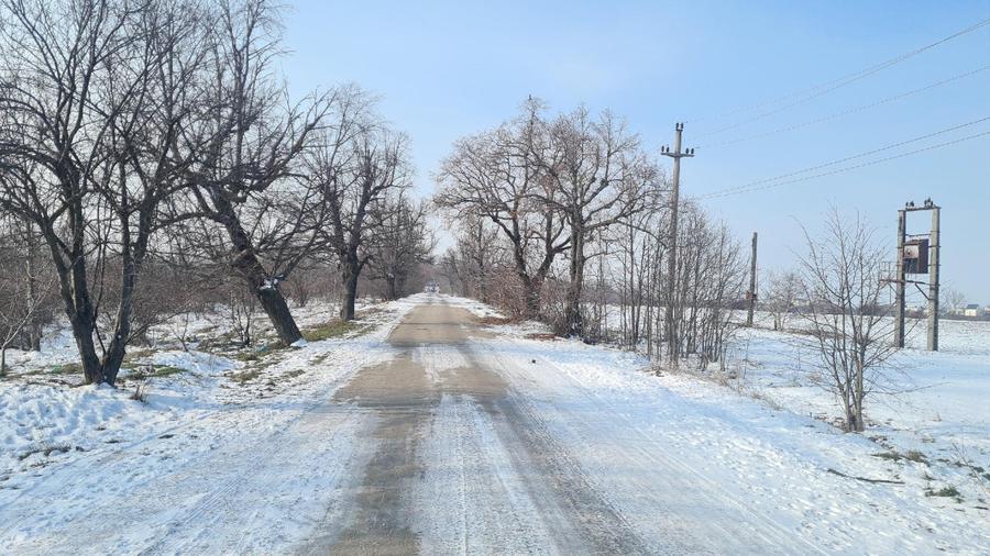 Teren intravilan 12.280mp Balotești – DN1 Value Center - 4