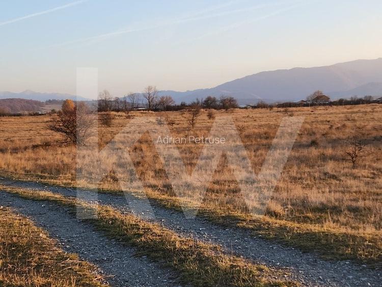 Oportunitate investitie | De vanzare, 3 parcele de 560 mp.