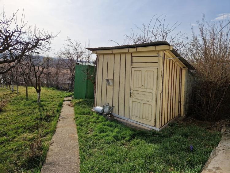 Teren - Roman  -Trifesti - ieșire la lac - livada pe rod - 10