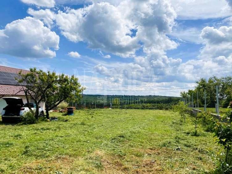 Teren intravilan pentru constructii de vanzare in Paleu - 3