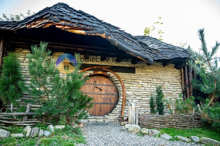 Oportunitate de Investitie! Afacere la Cheie in Turism – Disponibila Acum! - 7