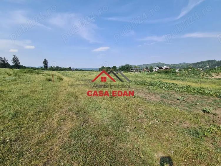 Teren intravilan in Campina, 7500mp--35e - 12