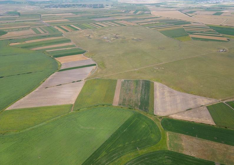 Teren arabil de 1299 hectare in Ia?i - 1