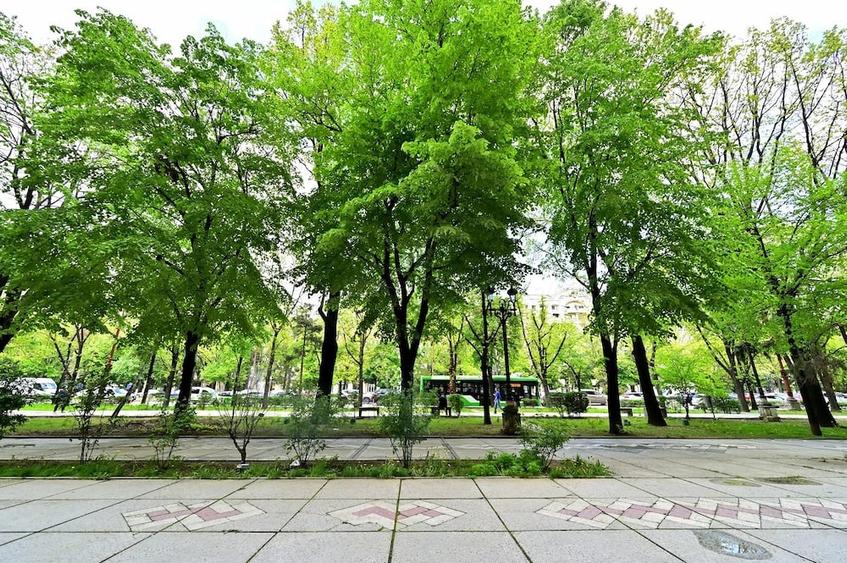 Apartament cu 2 camere semidecomandat în Turda