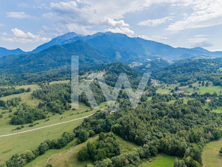 COMISION 0 %!!!!Teren cu priveliste remarcabila asupra orasului Rasnov - 11