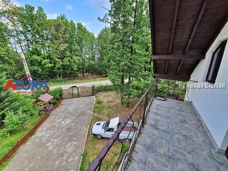 Casă de vacanță în pădure, 10 km de Pitești - Babana - 9