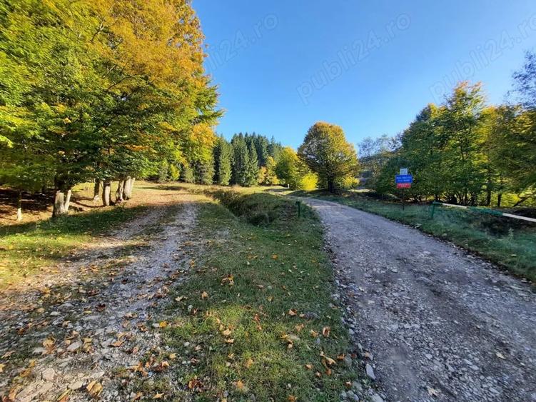 Teren de 7160 mp, în Alexandru cel Bun