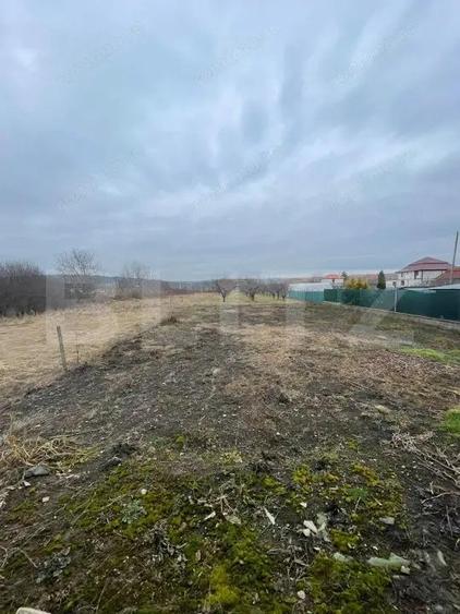 Casa 310 mp utili, 2900 mp teren, zona Insula, Campia Turzii - 4