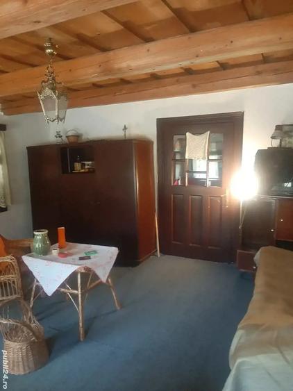 Vand casa de vacanta in Frunzeni jud. Mures - 2