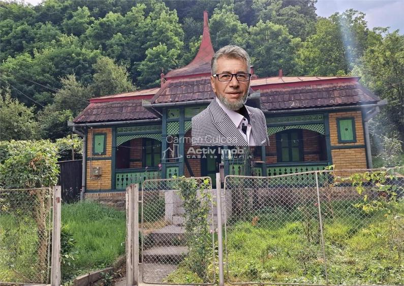 Bocsa Casa de Vacanta
