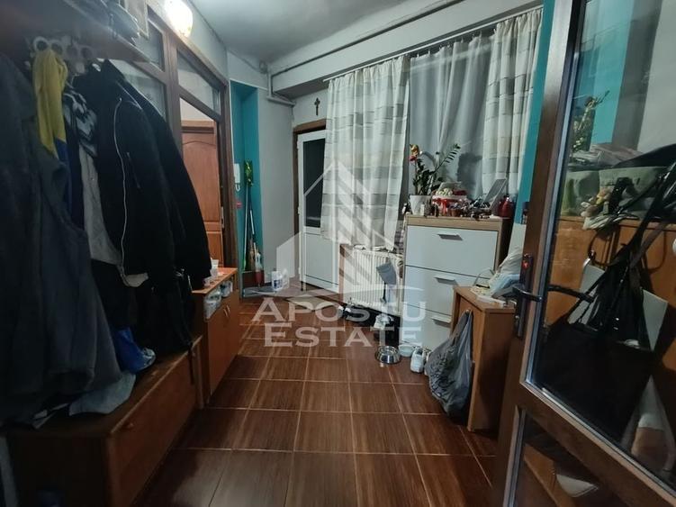 Apartament cu 4 camere, centrala proprie, 2 bai, terasa, zona Iosefin. - 8