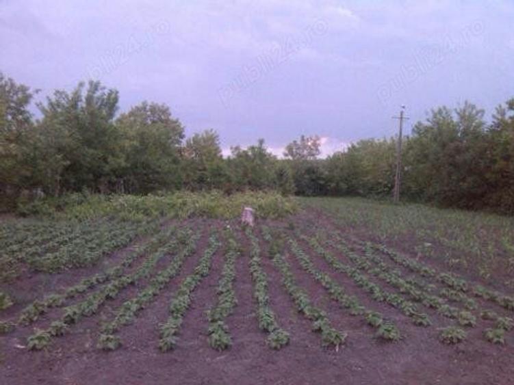 Vand casa ?i gradina mare. - 2